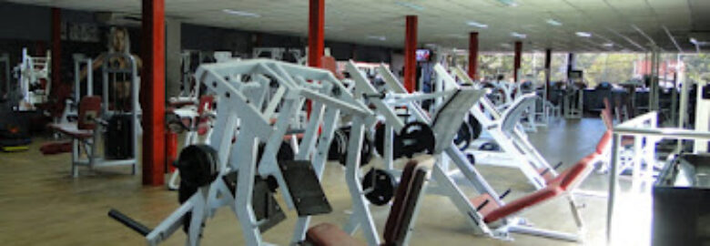 Academia Animal King