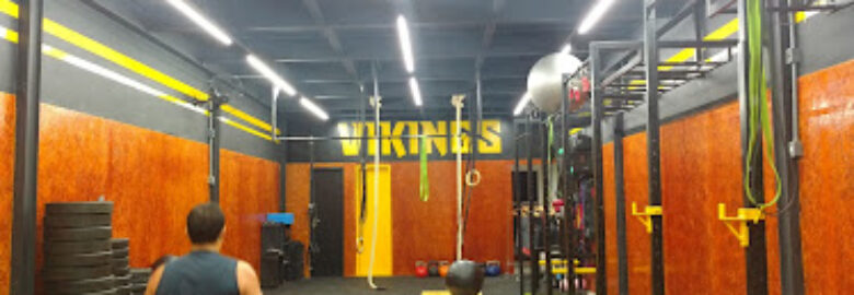 Vikings Treinamento Integrado