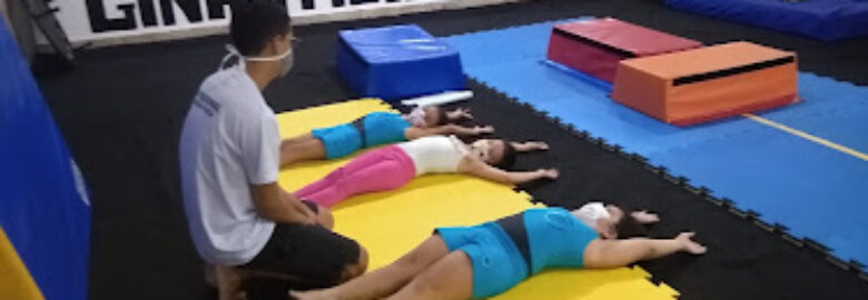 Studio Motrix Centro Esportivo de Ginástica Artística