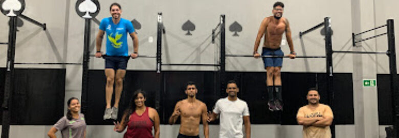 Joker Training Club