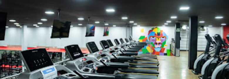 World Gym Asa Norte: Musculação, Cardio, Bikes, Escadas, Esteiras, Elípticos DF