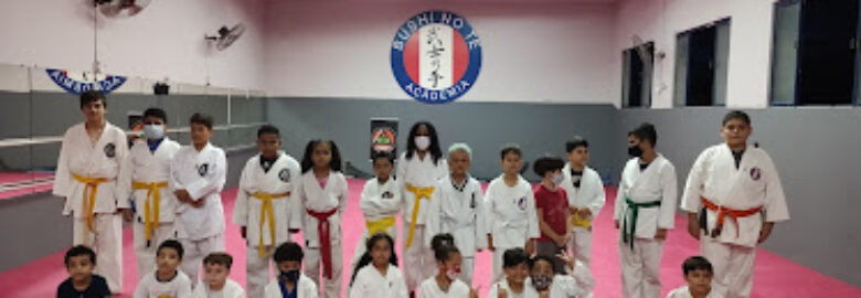 Academia Bushi No Te- karate