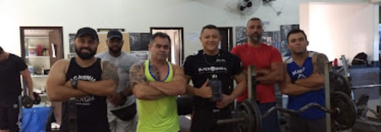 Carol Fit Academia