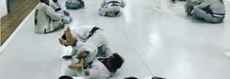 Ryan Gracie Jiu Jitsu
