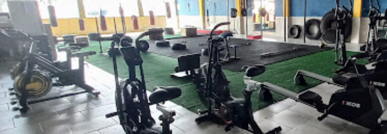 Academia Universal Fight