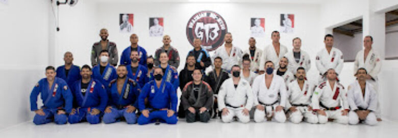 G13BJJ Vila Mascote
