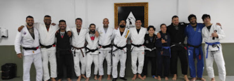 Mario Reis Jiu Jitsu (novo)