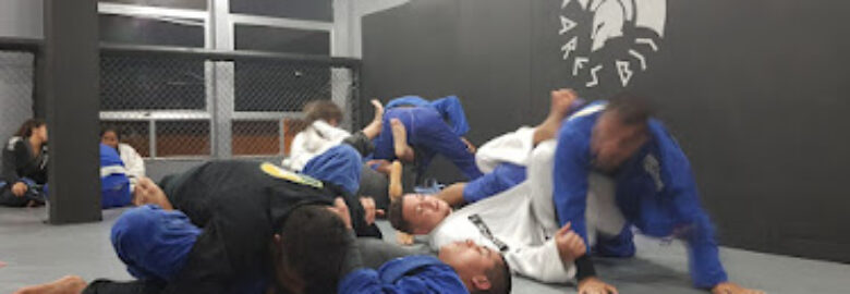 Ares BJJ Brasil