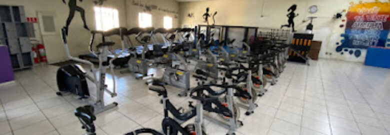 Academia The World Fit