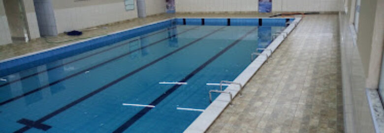 Golfinhos atividades aquáticas