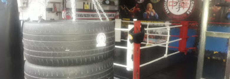 ANBC-ASSOCIAÇÃO NUNES DE BOXE CHINÊS