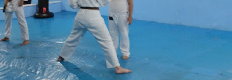 Karatê Geração Saúde – Campo Largo/PR