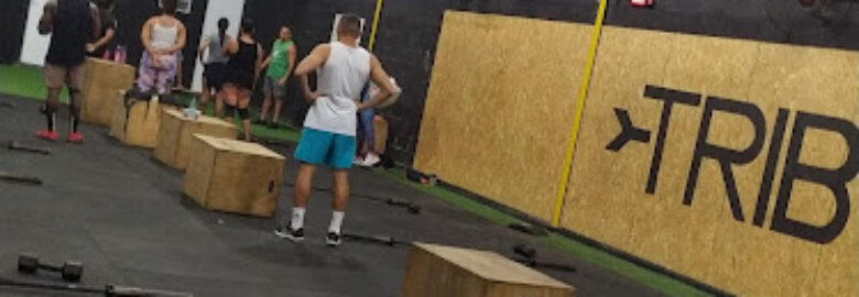 Tribo Fitness