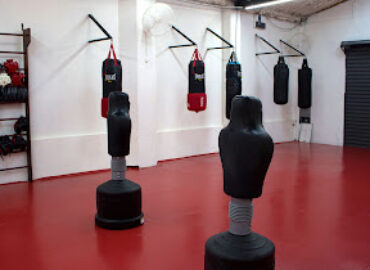 Instituto Brasil – Israel de Krav Maga & Combatividade