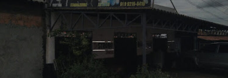 Academia Saúde em Forma Fitness