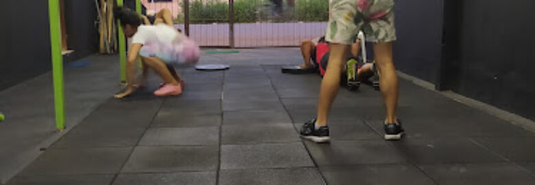 Box Brutus Barbell