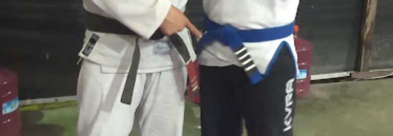 Artes Marciais