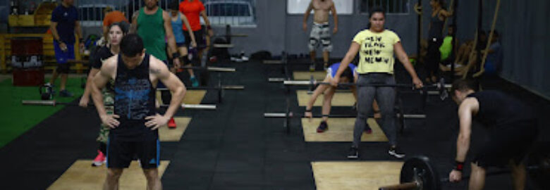 Fort Cross Trainning