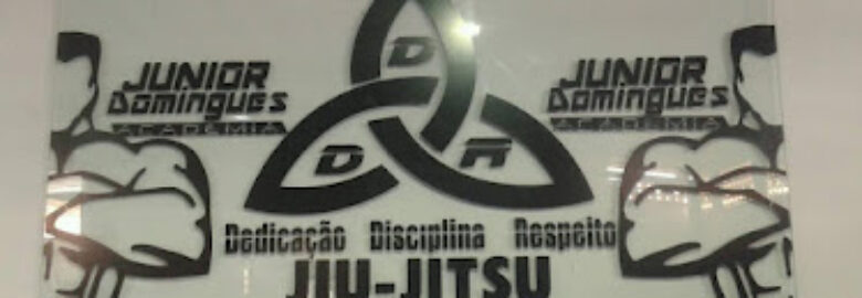 Academia Júnior Domingues