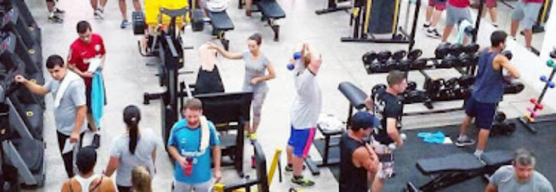 Force Fitness Academia