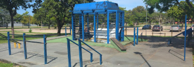Academia Girassol