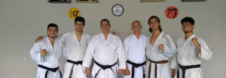 Karate Kodokan