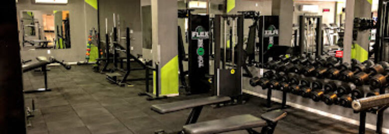 Extreme Gym – Ducks