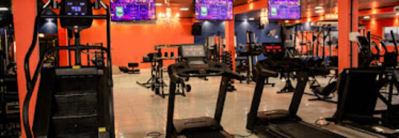 IMPERIO GYM 20HS