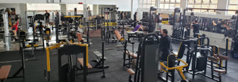 ACADEMIA IRON GYM CONCEPT