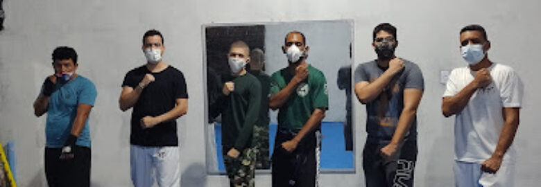 Vulkao Karatê Clube