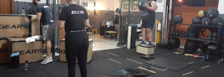 LV Treinamento Físico