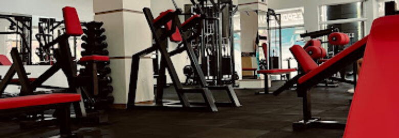 Lion’s Gym