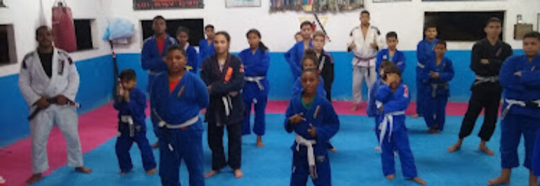 Centro de artes marcias e trabalho de força