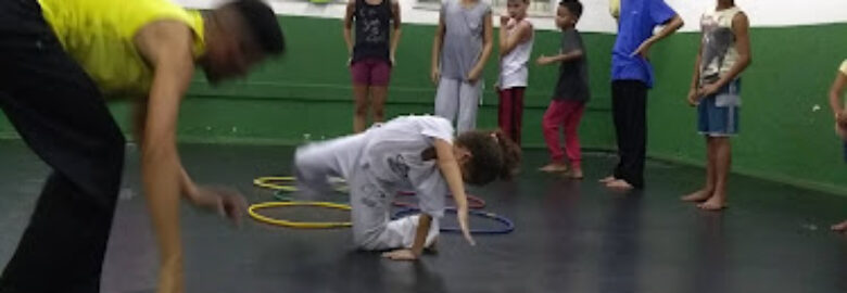 Organização Carioca De Capoeira (Mestre Garnisé)