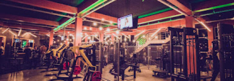 Lt2 Fit