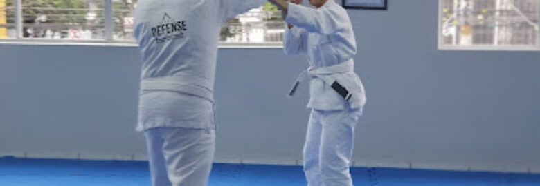 Studio Defense
