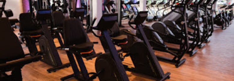 Polly Dance Acqua Academia