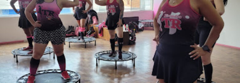 Studio TR Kangoo