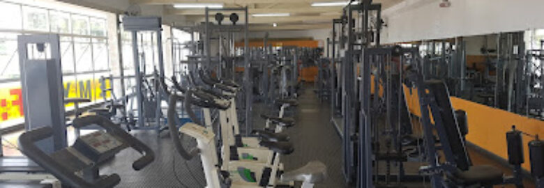 Academia Wellness
