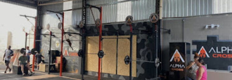 Alpha Cross Treinamentos Ltda