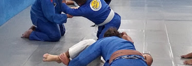 Gracie Humaita Centro