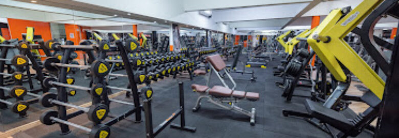 Academia V4 Excellence Fitness