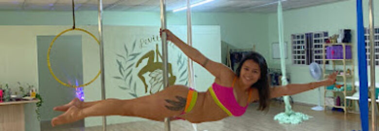 Levitarte – Studio de Pole Dance Aline Rozon
