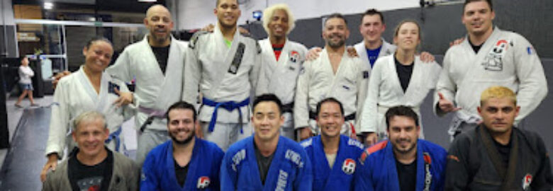 Checkmat Vila Romana