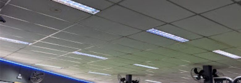 ALMA FITNESS ACADEMIA