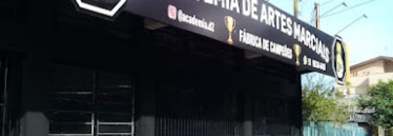 Academia De Artes Marciais D2