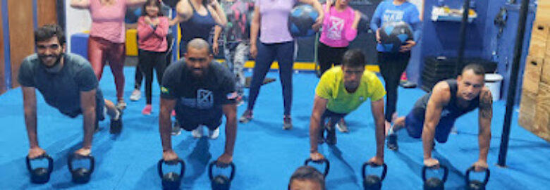 Cross Experience Estrela