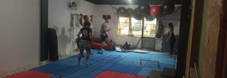 Pró Energy Academia
