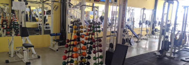 Vou Treinar Academia