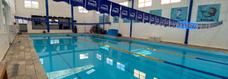 Pro Medley Swimming